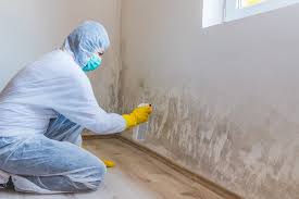 Best Asbestos and Lead Testing During Mold Inspection  in Port Chester, NY