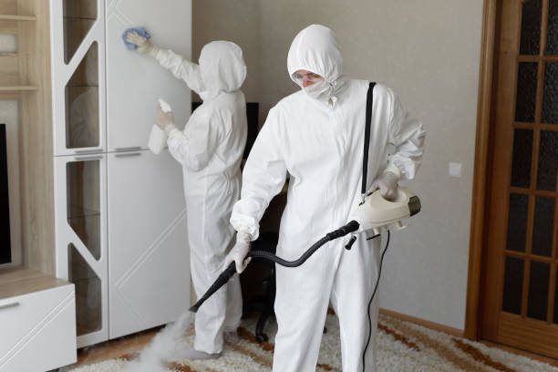 Mold Remediation for Vacation Homes in Port Chester, NY