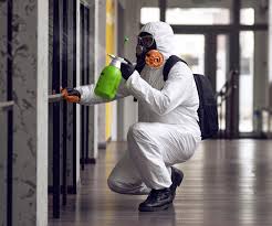 Best Mold Removal for HVAC Installations  in Port Chester, NY